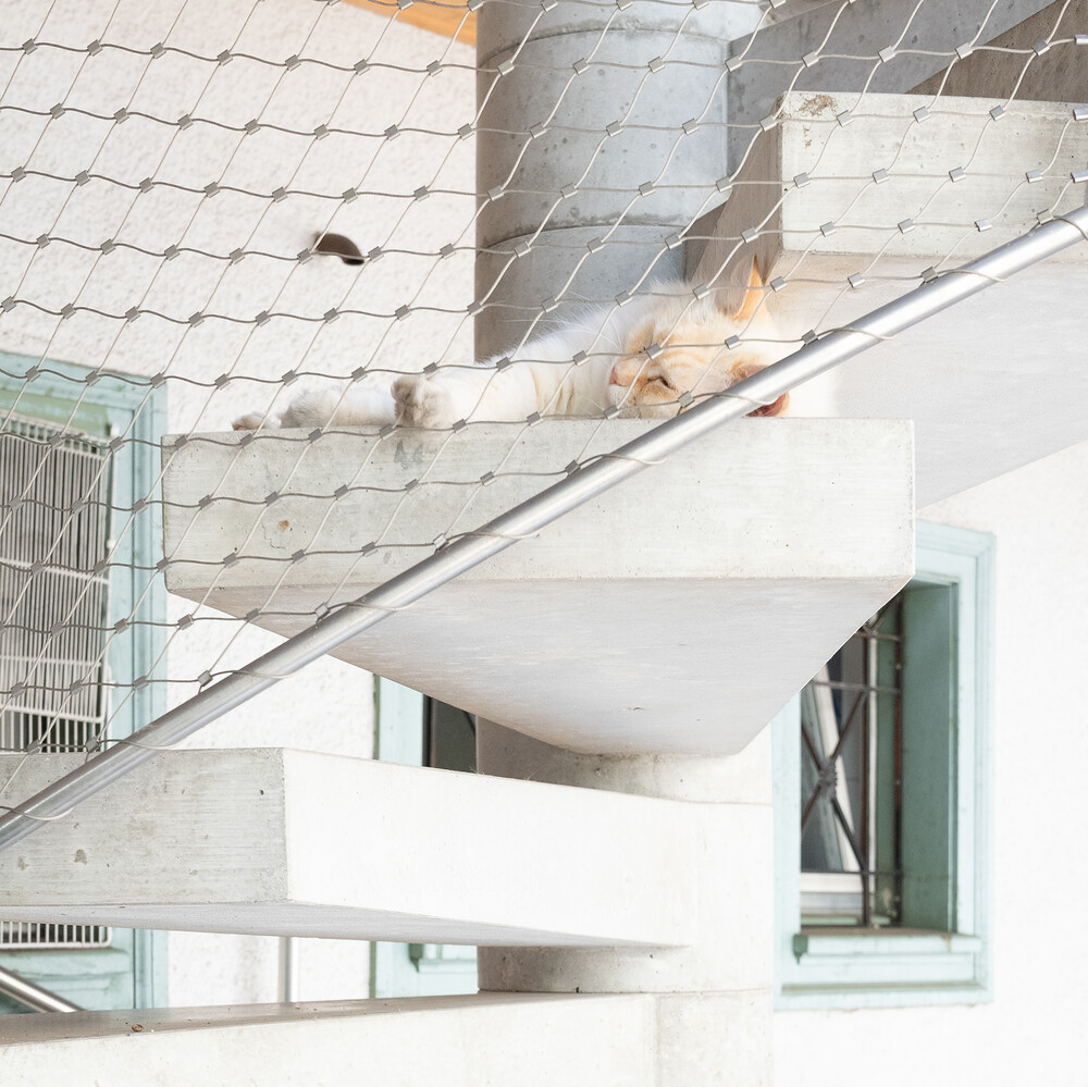 Brewder Immobilien